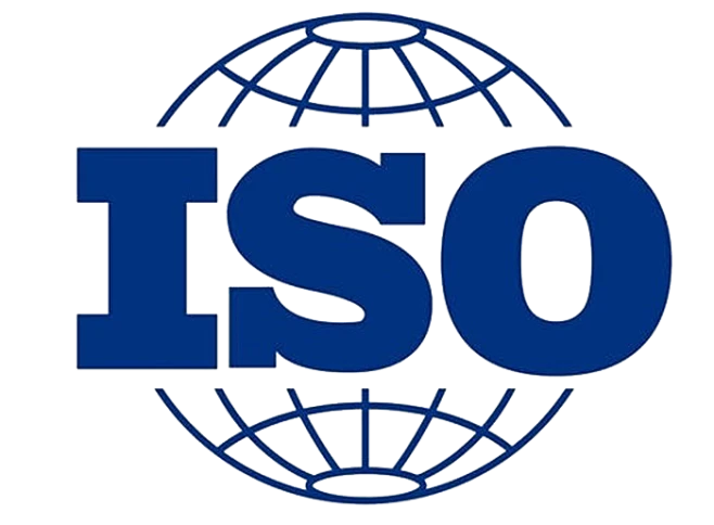 杂七杂八内的花瓣采集图片-Suty-